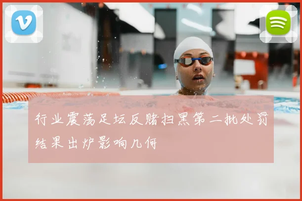 行业震荡足坛反赌扫黑第二批处罚结果出炉影响几何