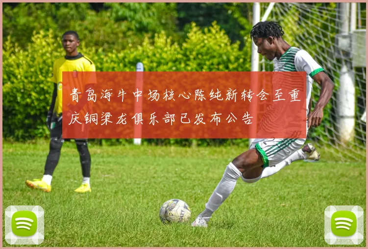 青岛海牛中场核心陈纯新转会至重庆铜梁龙俱乐部已发布公告