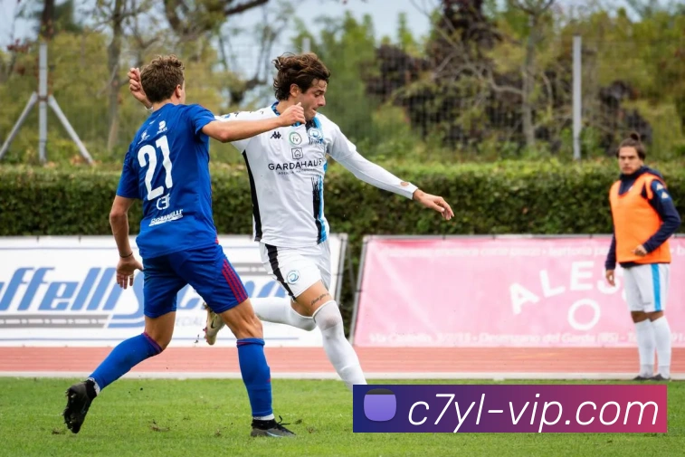 C7娱乐 - 打造最受球迷欢迎的综合体育新闻资讯平台服务体系